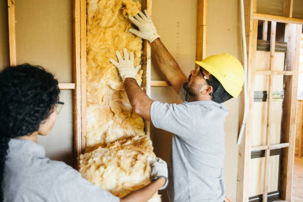 Best Insulation for New Construction  in East Alton, IL